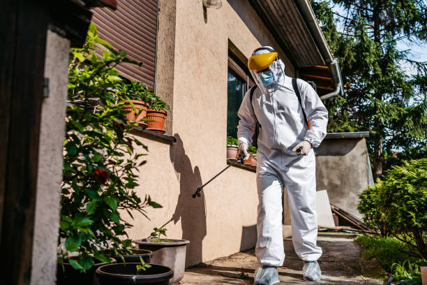 Best Pest Control for Homes  in Mikes, TX