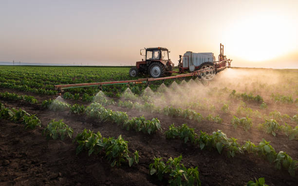 Best Best Pest Control Companies  in Mikes, TX
