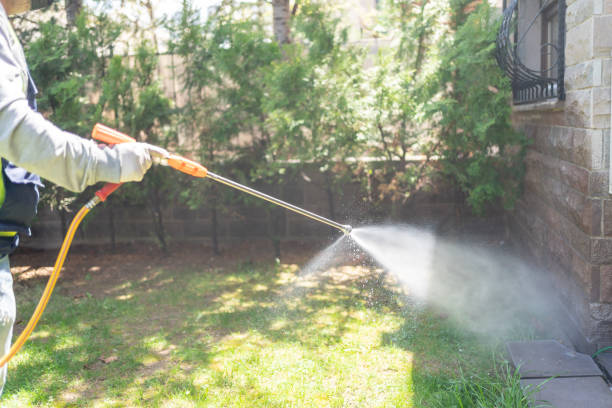 Best Spider Control Near Me  in Mikes, TX