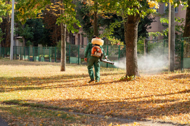 Best Flea Control Services  in Mikes, TX