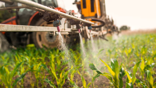 Best Mosquito Control Services  in Mikes, TX