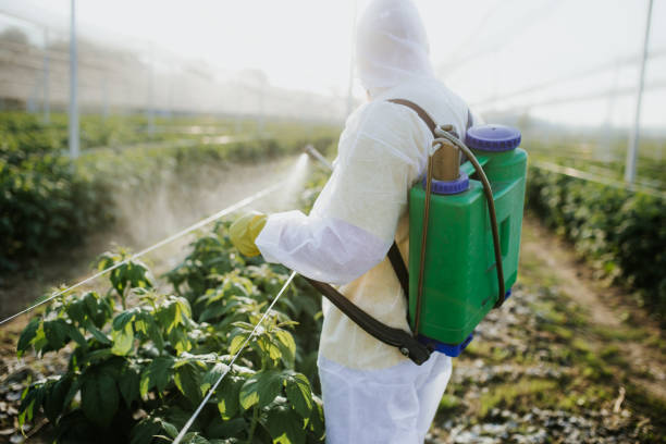 Best Mosquito Control Services  in Mikes, TX